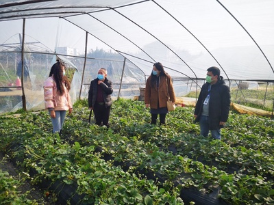 长宁县农业农村局深入生产基地检查指导农产品质量安全工作